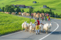 Für viele der schönste Tag im Jahr